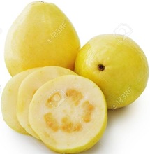 Fresh guava, Packaging Size : 25-50kg