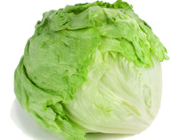 Fresh Iceberg Lettuce
