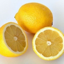 Common Fresh Yellow Verna Lemon