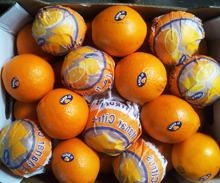 Common Fresh Navel Orange