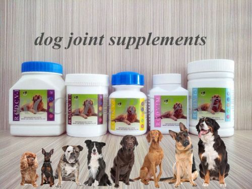 Nutritional Dog Joint Supplement, Brand Name : RCPETCARE