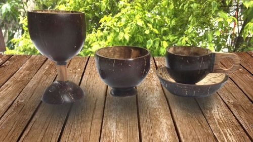 Coconut Shell Serveware Set