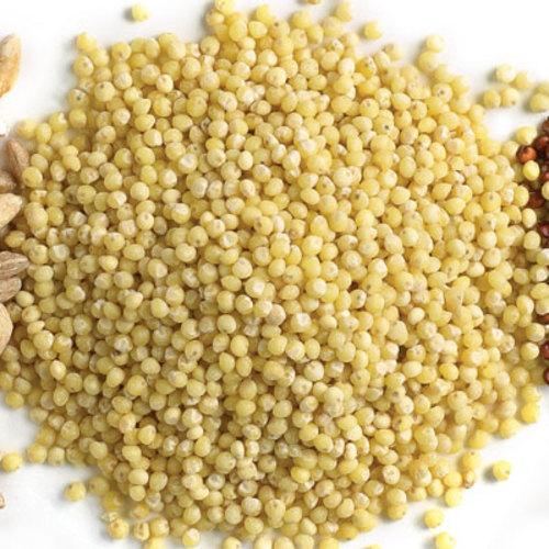 Organic Millet Seeds, For Cooking, Style : Dried