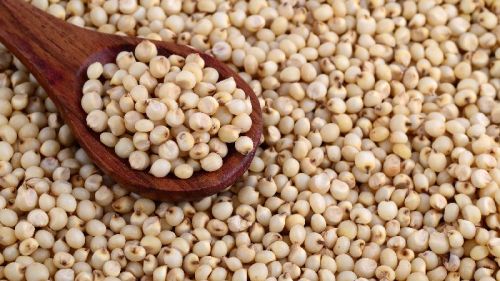 Organic Sorghum Seeds, For Cooking, Style : Dried