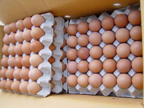 Poultry Eggs