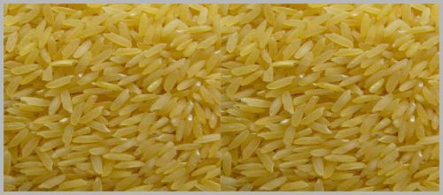 Common Parboiled Rice, For Cooking, Making Papad, Feature : Good In Taste, Long Grain