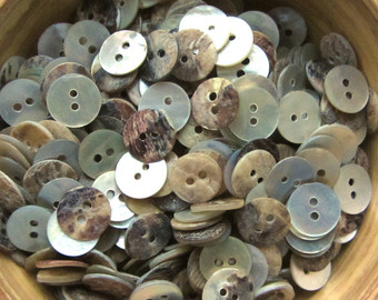 Shell Button, Color : NATURAL