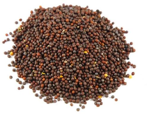 Mustard seeds, Shelf Life : Up To 2 Years When Stored Properly.