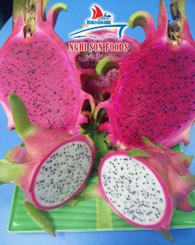 Dragon fruit, Packaging Type : red flesh white flesh, Grade : A-AAA