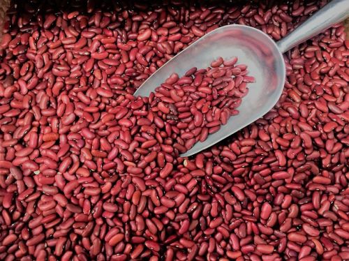 Red kidney beans