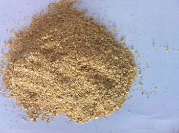 Soybean Extract