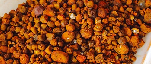 Cattle Gallstones, Color : Brown