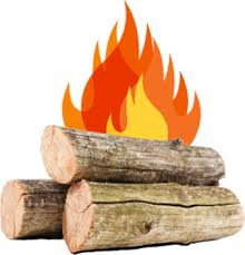 Firewood Logs