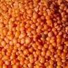 Masoor Dal