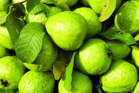 Fresh guava, Packaging Size : 25-50kg