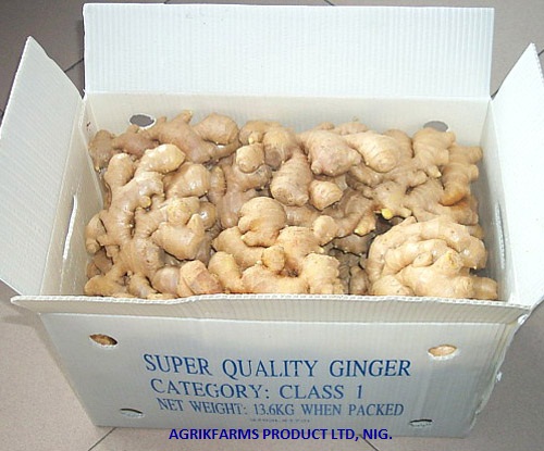 Fresh ginger, Country of Origin :India