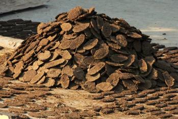 Cow dung cake