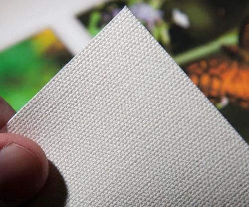 Fine Art Textile Print Fabric