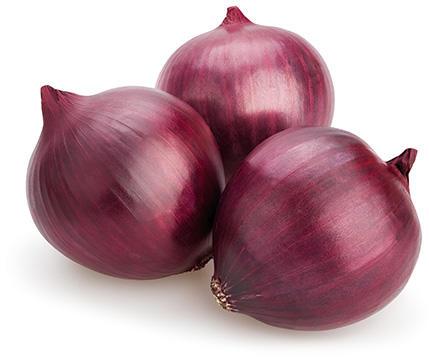 Fresh Onion