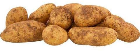 Fresh potato, Type : Vegetable