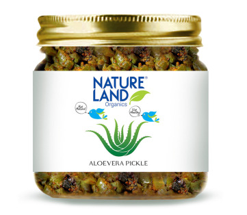 Aloe Vera Pickle, For Home, Hotel, Taste : Salty, Sour