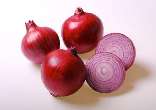 Fresh red onion For Human Consumption