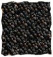 Black Pepper Seeds