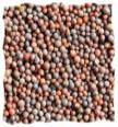 Organic Brown Mustard Seeds