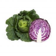 Organic Fresh Cabbage