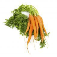 Organic Fresh Carrot