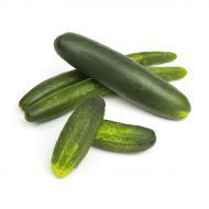 Organic Fresh Cucumber,fresh Cucumber