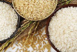 Long grain rice, Packaging Size : 5kg, 7kg, 10kg etc