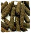 Long Pepper Seeds, Packaging Type : Packed In Plastic Bags