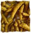 Turmeric Fingers