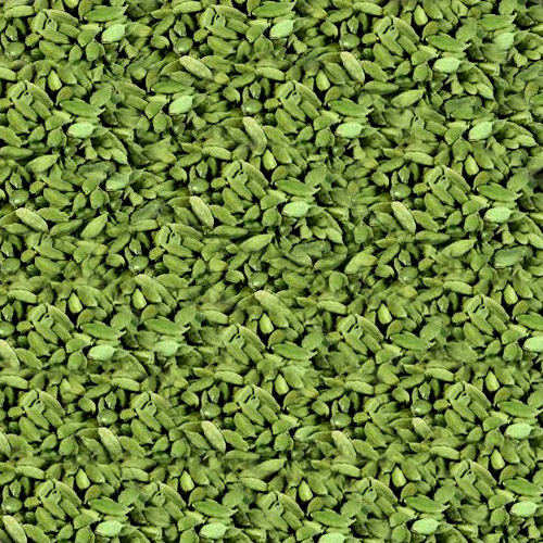 Green cardamom, Shelf Life : 1 Year