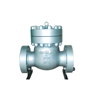 Bolt Bonnet Swing Check Valve