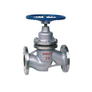 Plunger Valve