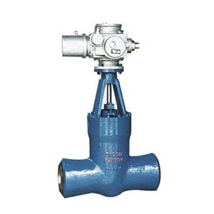 Power Station Gate Valve