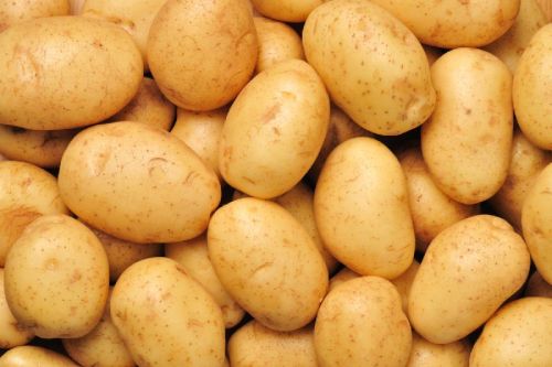 Fresh potato, Country of Origin : India