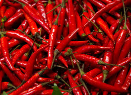 Fresh Red Chilli, Style : Fresh