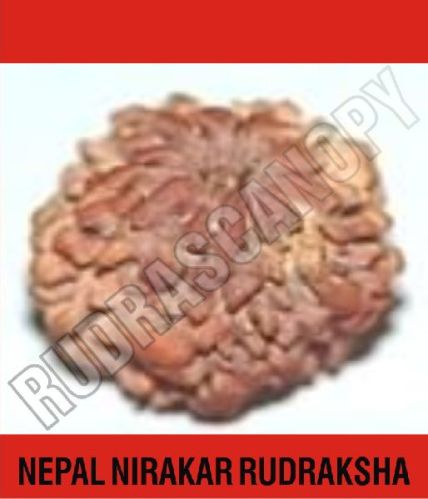 Brown Rudrascanopy Round Nirakar Nepal Rudraksha, Certification : Online Certified