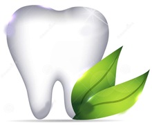 Herbal Natural Toothpaste