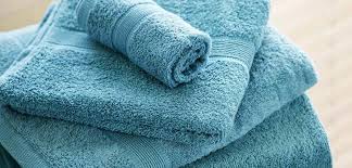 Plain Terry Towels, Size : 20x10