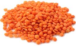 Whole Red Lentil