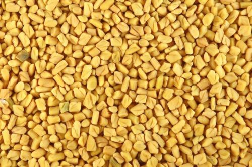 Fenugreek Seeds, For Medicine Cooking