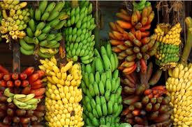 Organic Fresh Banana, For Food, Juice, Snacks, Packaging Type : Crate