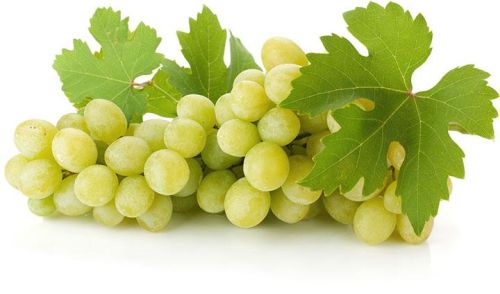 Organic Fresh Grapes, Packaging Type : Net Bag, Plastic Box