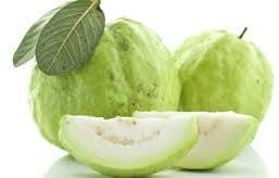 Organic Fresh Guava, Packaging Type : Boxes, Wooden Box