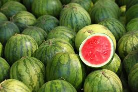 Organic Fresh Watermelon, Packaging Type : Net Bag, Wooden Box