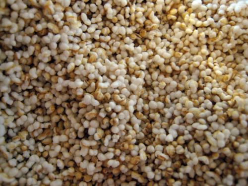 Organic Grains